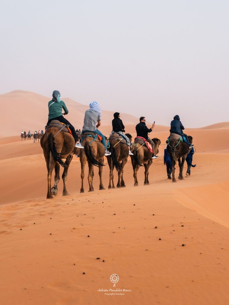 Personas montadas en dromedario por el desierto del Sahara