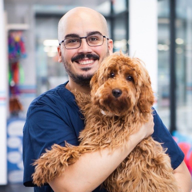 Hombre sonriente sostiene un perro caniche marrón en un entorno colorido.